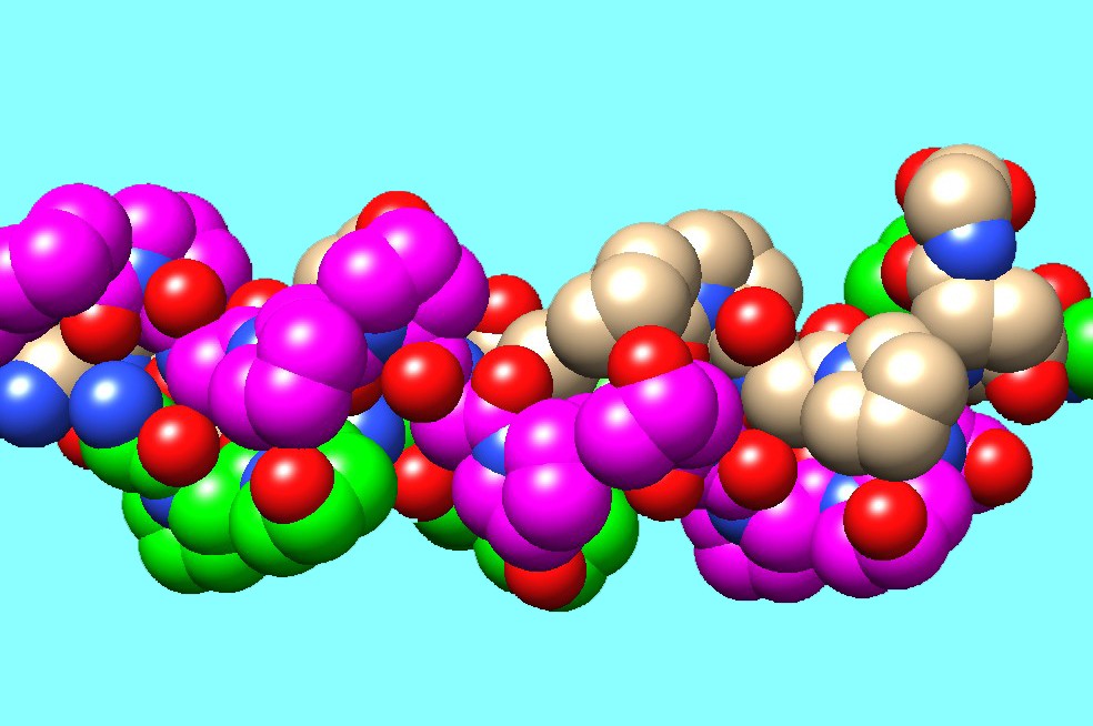 Collagene: La Scienza della Matrice Extracellulare nel 2026